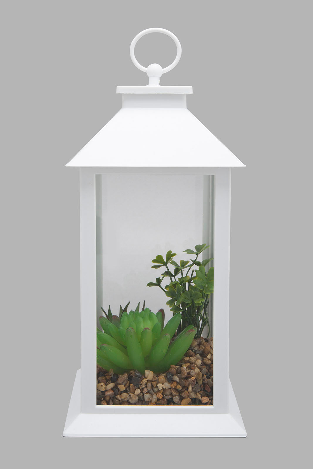 Redtag-White-Decorative-Lantern-with-Artificial-Succulent(Gift-Set)-Gift-Sets-Home-Decor-