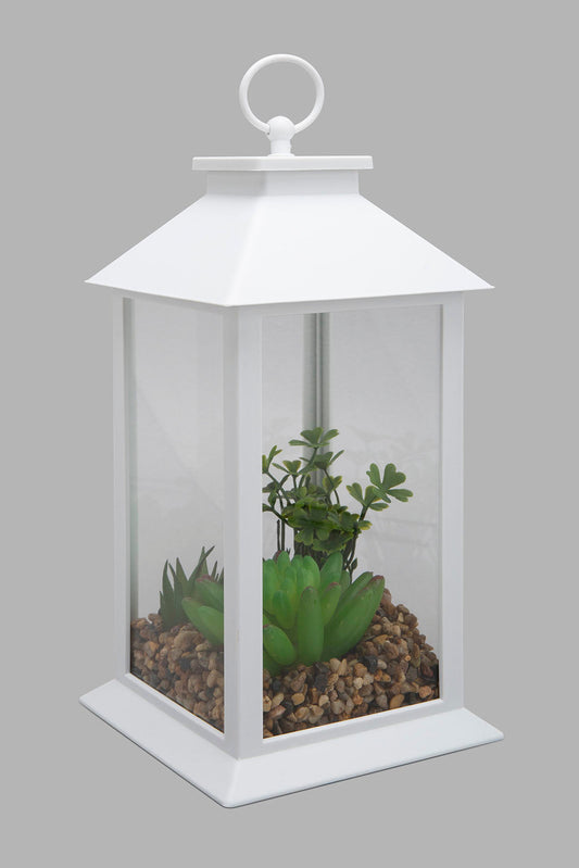Redtag-White-Decorative-Lantern-with-Artificial-Succulent(Gift-Set)-Gift-Sets-Home-Decor-
