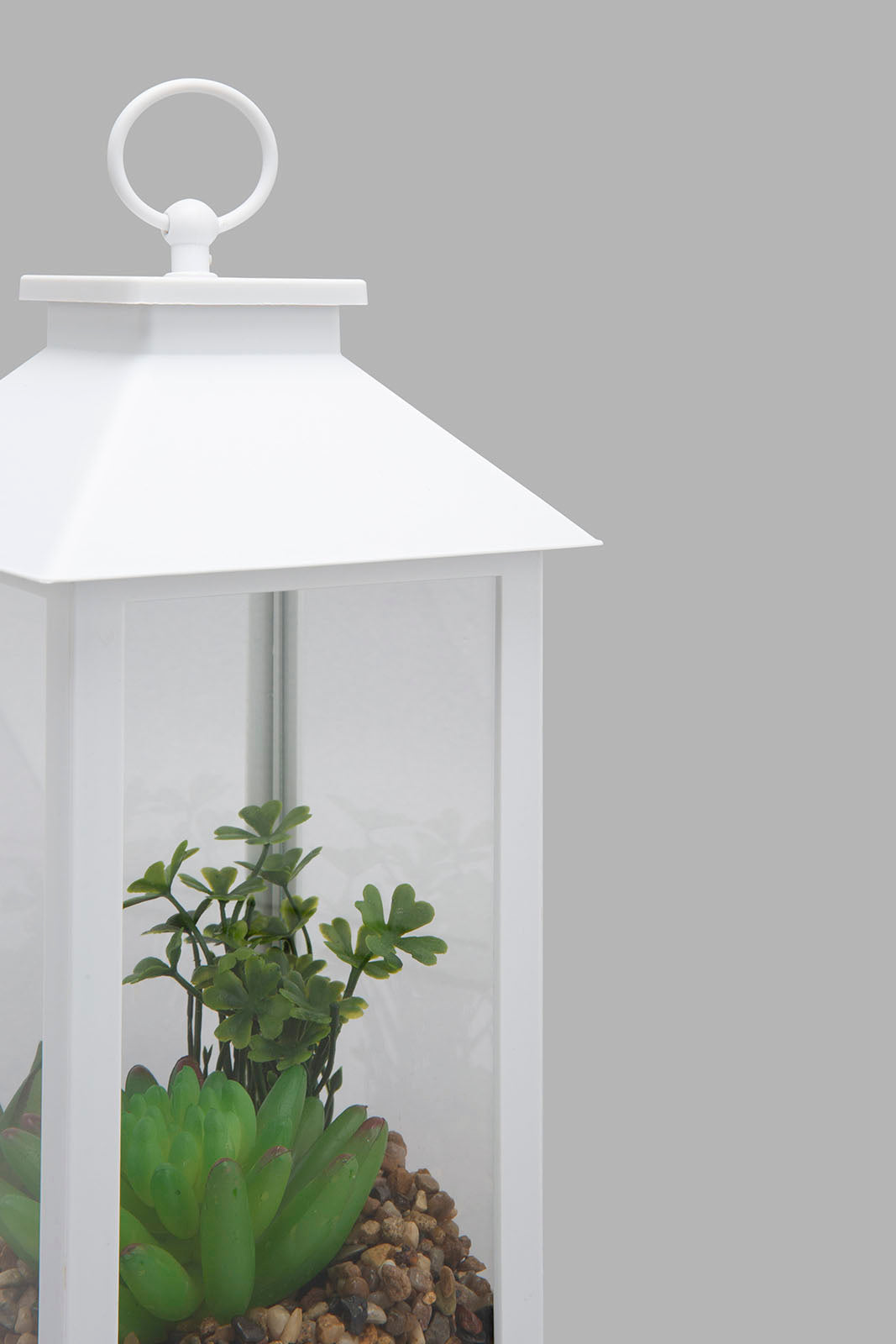 Redtag-White-Decorative-Lantern-with-Artificial-Succulent(Gift-Set)-Gift-Sets-Home-Decor-