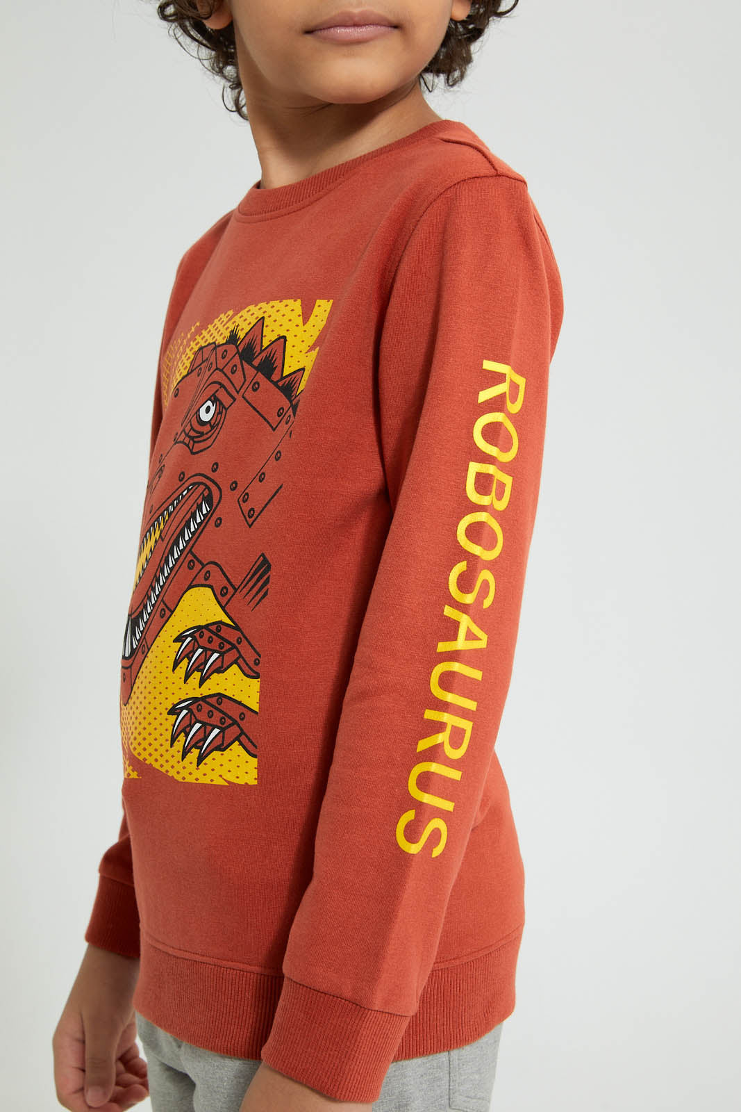 Redtag-Brown-Dino-Print-Crew-Neck-Sweatshirt-Sweatshirts-Boys-2 to 8 Years