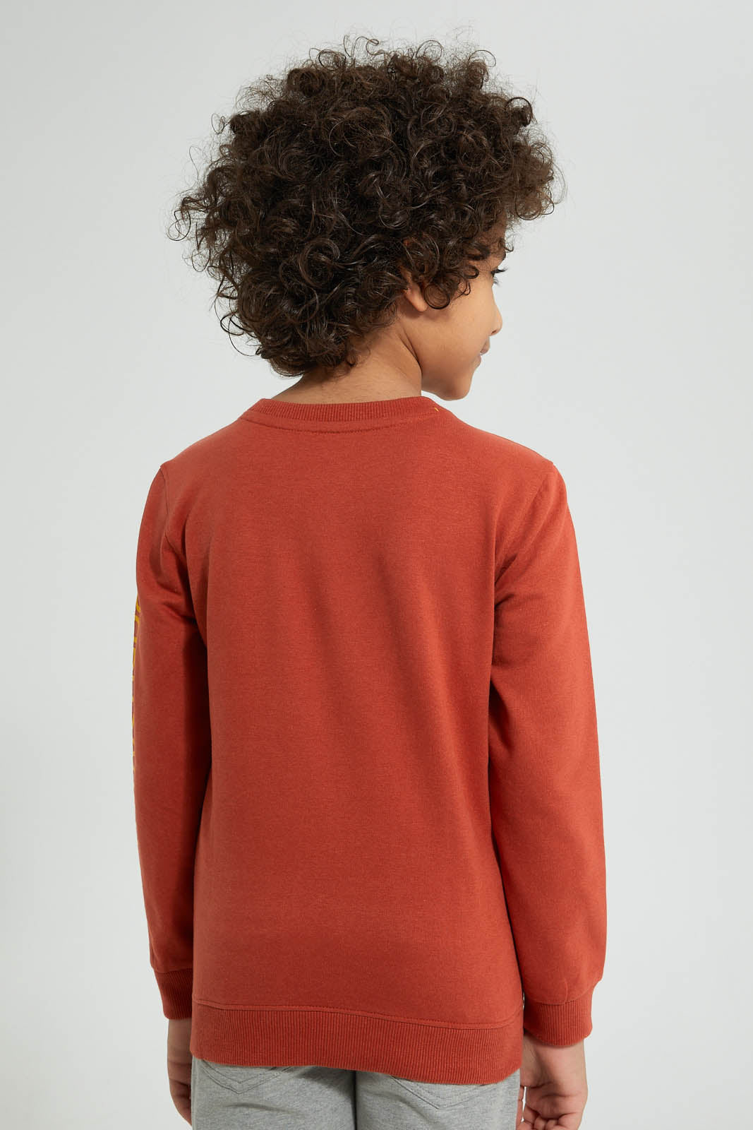 Redtag-Brown-Dino-Print-Crew-Neck-Sweatshirt-Sweatshirts-Boys-2 to 8 Years