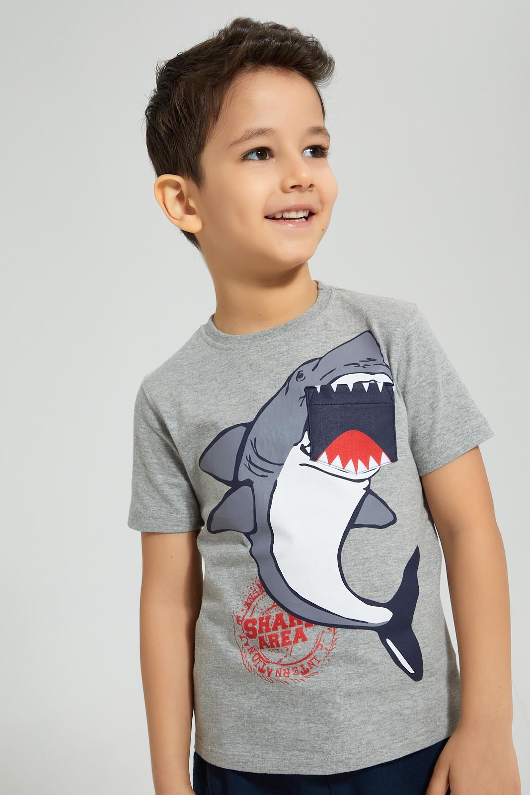 Redtag-Grey-Dino-Applique-Shorts-Set-Boys-Sets,-Colour:Grey,-Filter:Boys-(2-to-8-Yrs),-New-In,-New-In-BOY,-Non-Sale,-S22A,-Section:Kidswear-Boys-2 to 8 Years