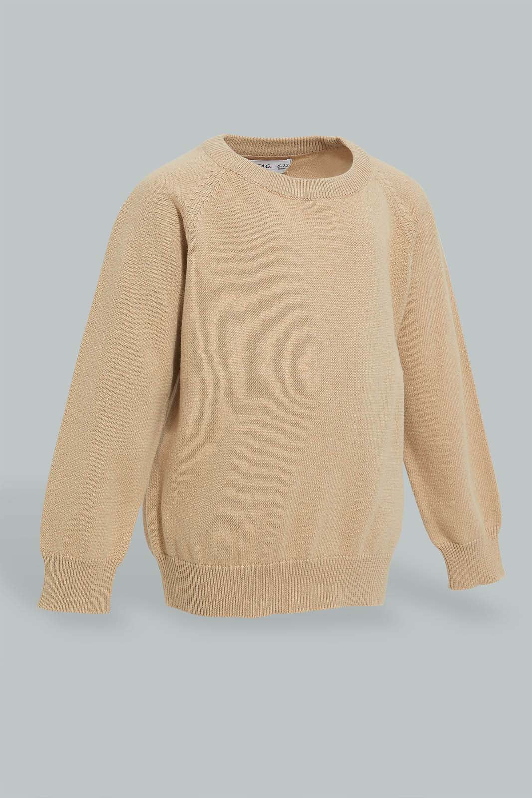 Redtag-Beige-Solid-Pullover-Pullovers-Infant-Boys-3 to 24 Months