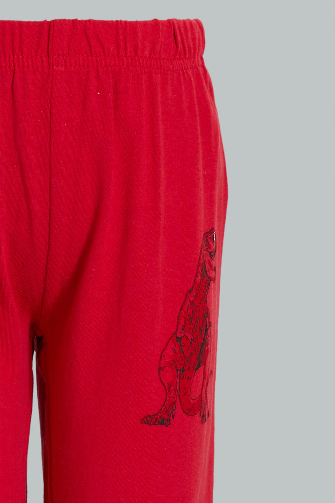 Redtag-4-Piece-Pack-Dinosaur-Print-Pyjama-Set-Pyjama-Sets-Boys-2 to 8 Years