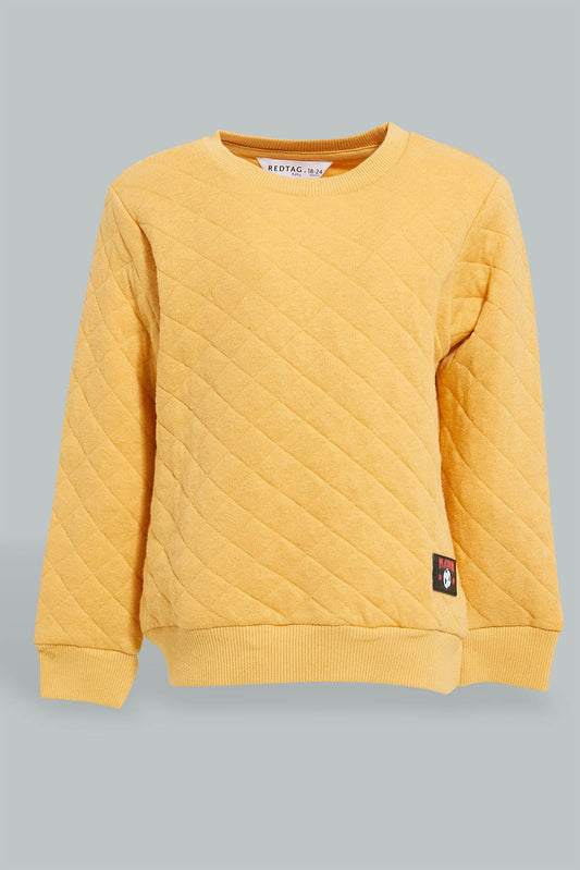 Redtag-Mustard-Quilted-Sweatshirt-Sweatshirts-Infant-Boys-3 to 24 Months