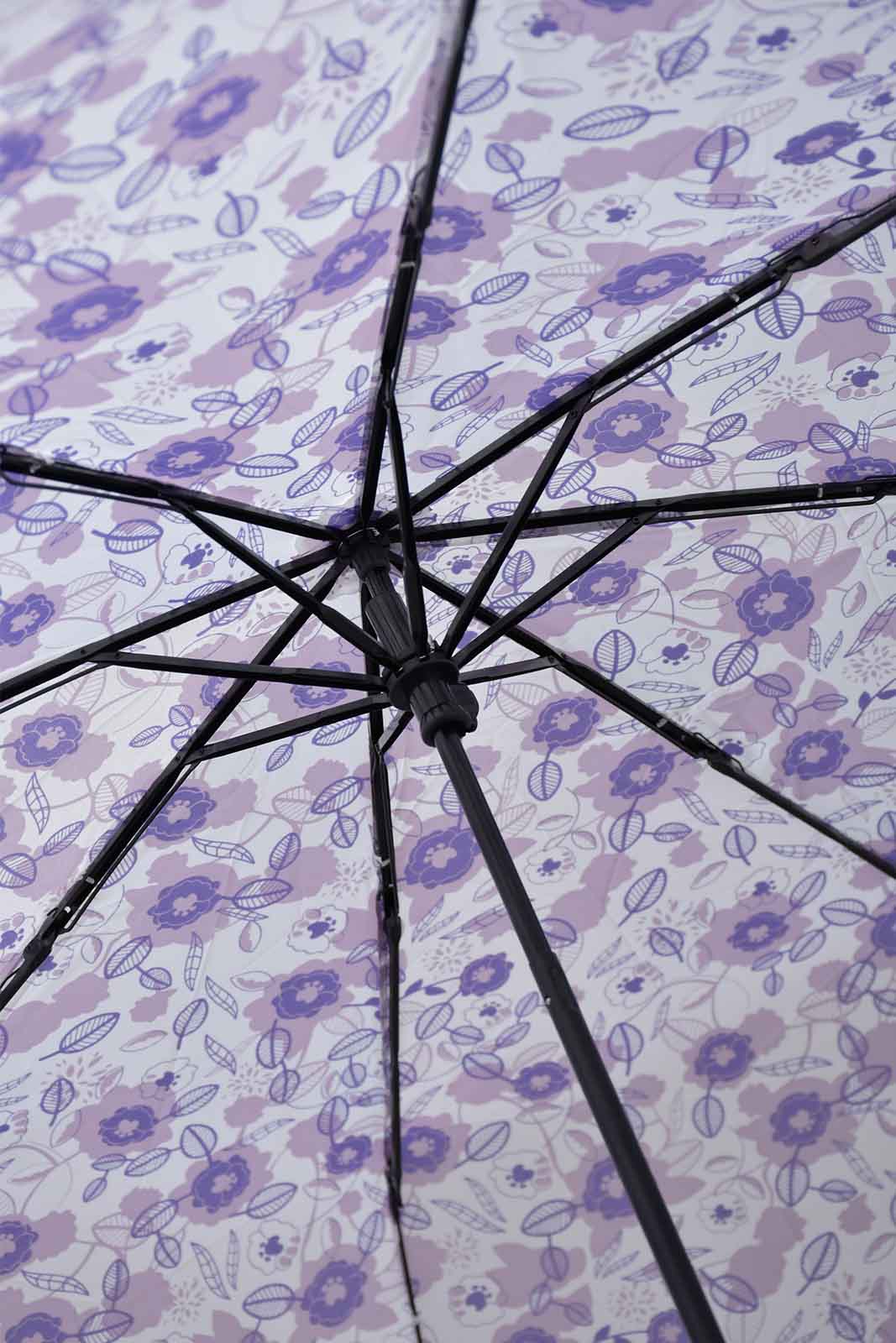 Redtag-Purple-Floral-Prints-3-Fold-Umbrella-Umbrellas-Travel-Accessories-