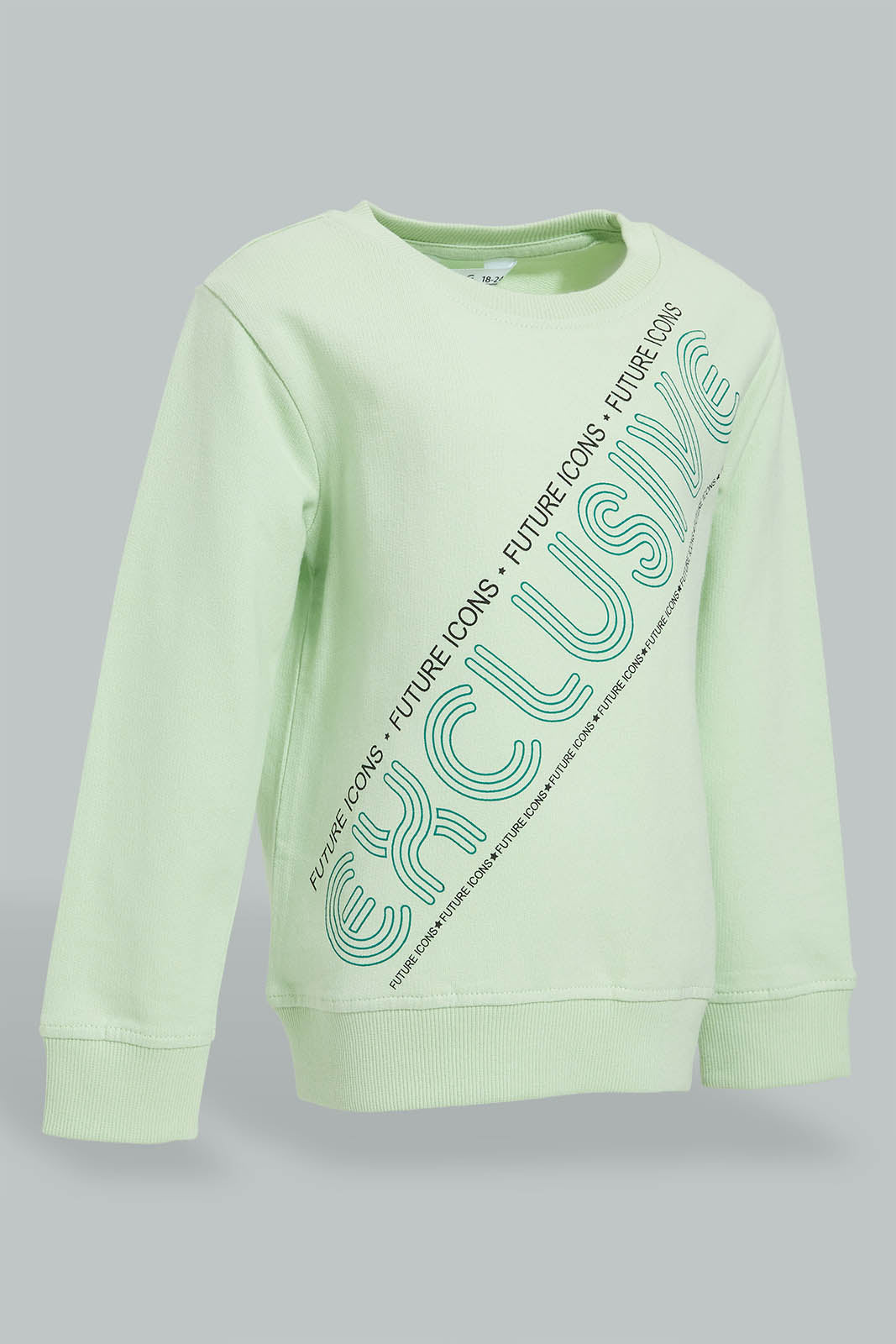 Redtag-Mint-Placement-Print-SweaT-Shirts-Sweatshirts-Infant-Boys-3 to 24 Months