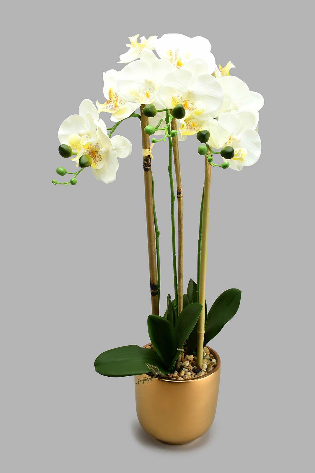 Redtag-Gold-Ceramic-Pot-With-Artificial-Orchid-Colour:Gold,-Filter:Home-Decor,-HMW-HOM-Plants-&-Flowers,-New-In,-New-In-HMW-HOM,-Non-Sale,-S22A,-Section:Homewares-Home-Decor-