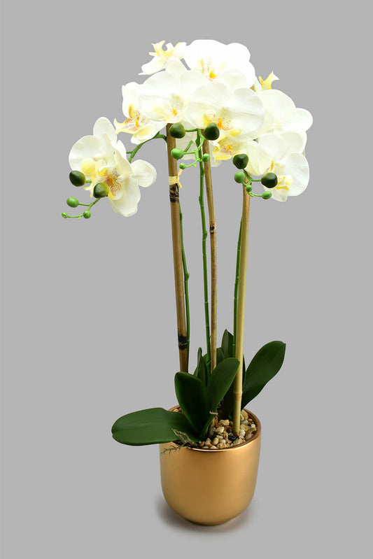 Redtag-Gold-Ceramic-Pot-With-Artificial-Orchid-Colour:Gold,-Filter:Home-Decor,-HMW-HOM-Plants-&-Flowers,-New-In,-New-In-HMW-HOM,-Non-Sale,-S22A,-Section:Homewares-Home-Decor-