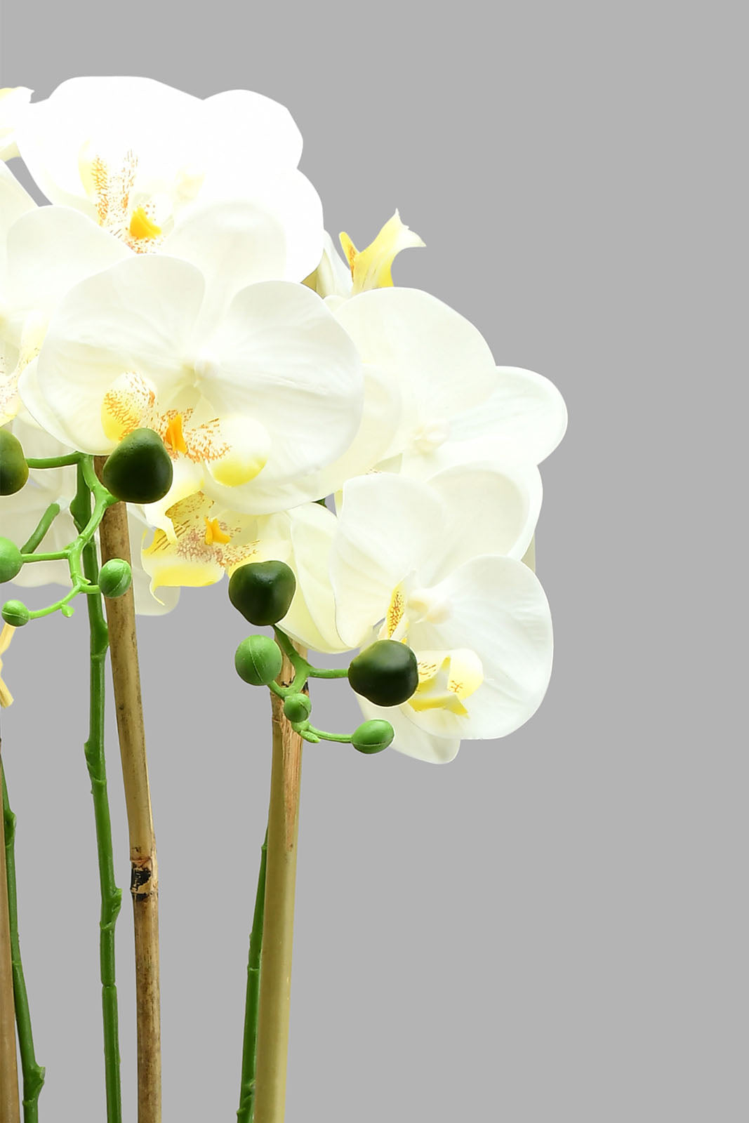 Redtag-Gold-Ceramic-Pot-With-Artificial-Orchid-Colour:Gold,-Filter:Home-Decor,-HMW-HOM-Plants-&-Flowers,-New-In,-New-In-HMW-HOM,-Non-Sale,-S22A,-Section:Homewares-Home-Decor-
