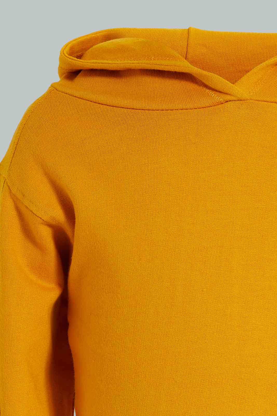 Redtag-Mustard-Hoody-Sweatshirts-Colour:Mustard,-Filter:Infant-Boys-(3-to-24-Mths),-Infant-Boys-Sweatshirts,-New-In,-New-In-INB,-Non-Sale,-S22A,-Section:Kidswear-Infant-Boys-3 to 24 Months