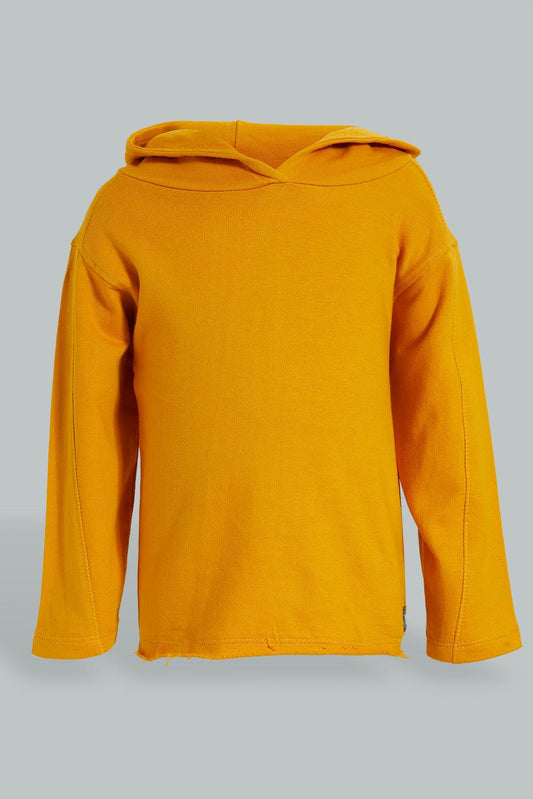 Redtag-Mustard-Hoody-Sweatshirts-Colour:Mustard,-Filter:Infant-Boys-(3-to-24-Mths),-Infant-Boys-Sweatshirts,-New-In,-New-In-INB,-Non-Sale,-S22A,-Section:Kidswear-Infant-Boys-3 to 24 Months
