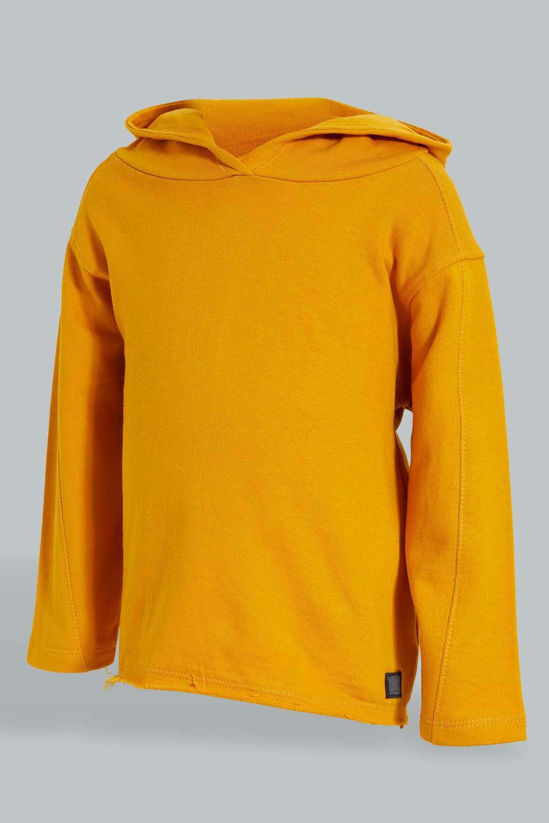 Redtag-Mustard-Hoody-Sweatshirts-Colour:Mustard,-Filter:Infant-Boys-(3-to-24-Mths),-Infant-Boys-Sweatshirts,-New-In,-New-In-INB,-Non-Sale,-S22A,-Section:Kidswear-Infant-Boys-3 to 24 Months