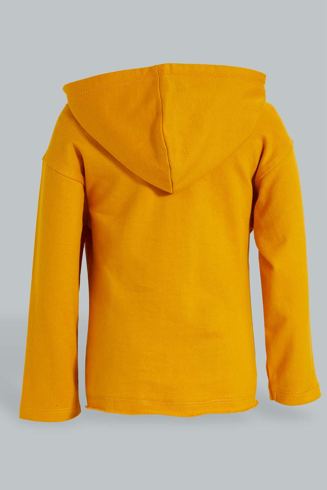 Redtag-Mustard-Hoody-Sweatshirts-Colour:Mustard,-Filter:Infant-Boys-(3-to-24-Mths),-Infant-Boys-Sweatshirts,-New-In,-New-In-INB,-Non-Sale,-S22A,-Section:Kidswear-Infant-Boys-3 to 24 Months