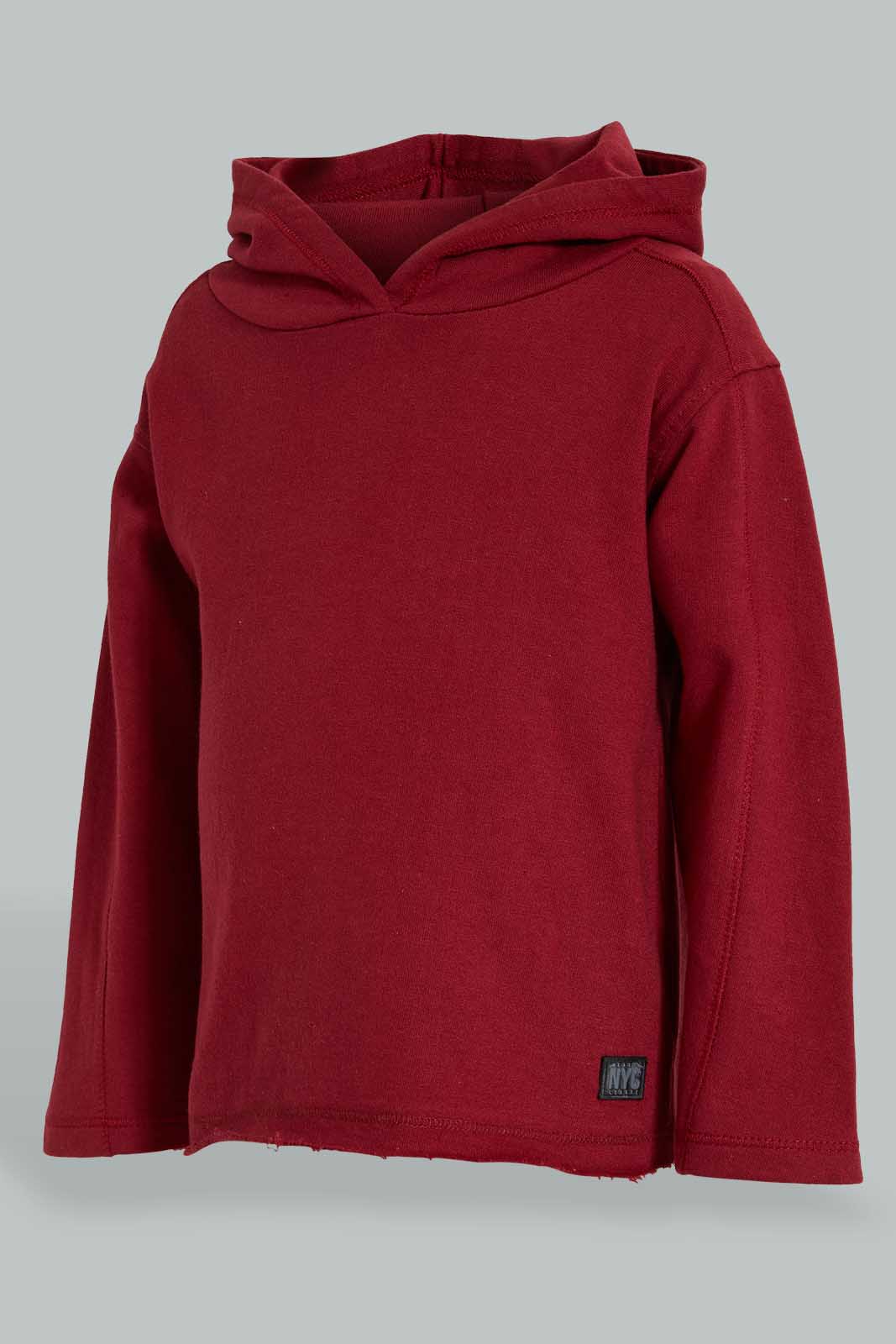 Redtag-Burgundy-Hoody-Sweatshirts-Colour:Burgundy,-Filter:Infant-Boys-(3-to-24-Mths),-Infant-Boys-Sweatshirts,-New-In,-New-In-INB,-Non-Sale,-S22A,-Section:Kidswear-Infant-Boys-3 to 24 Months