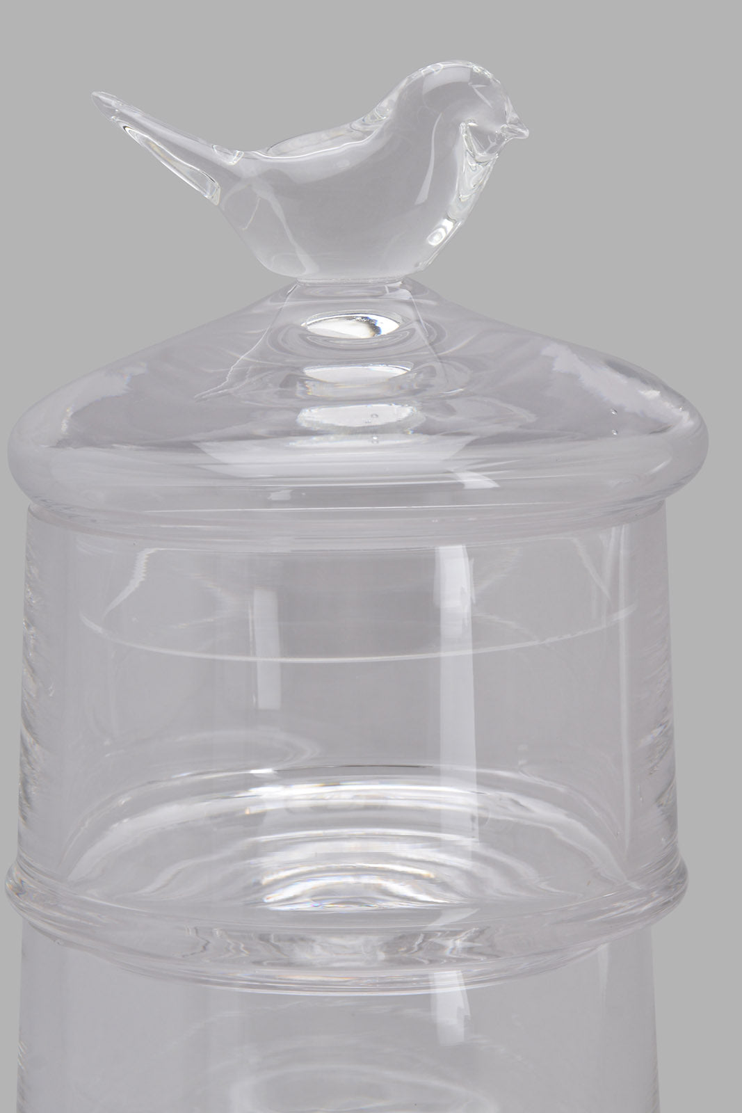 Clear Glass Partition Storage Jar With Bird Lid (4 Piece)