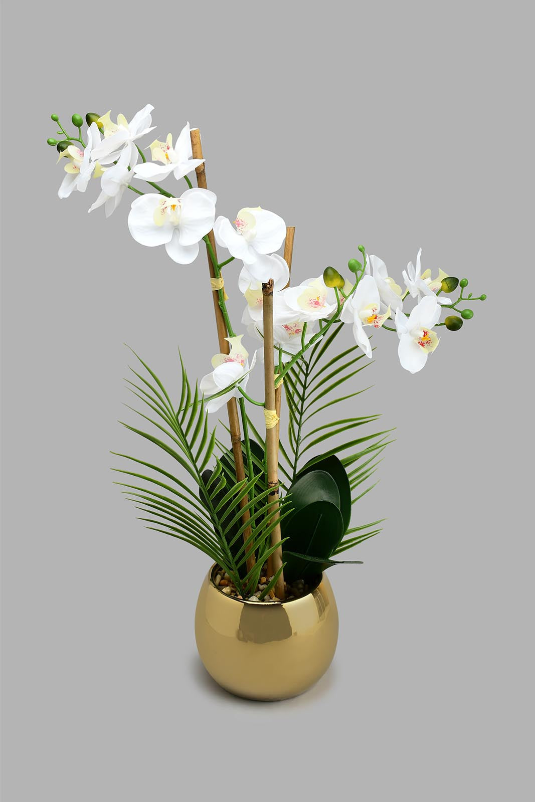 Redtag-White-Artificial-Orchids-In-Ceramic-Vase-Artificial-Plants-Home-Decor-