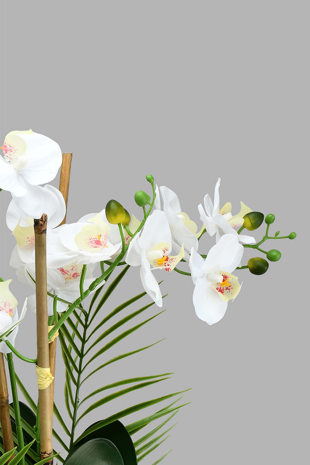 Redtag-White-Artificial-Orchids-In-Ceramic-Vase-Artificial-Plants-Home-Decor-