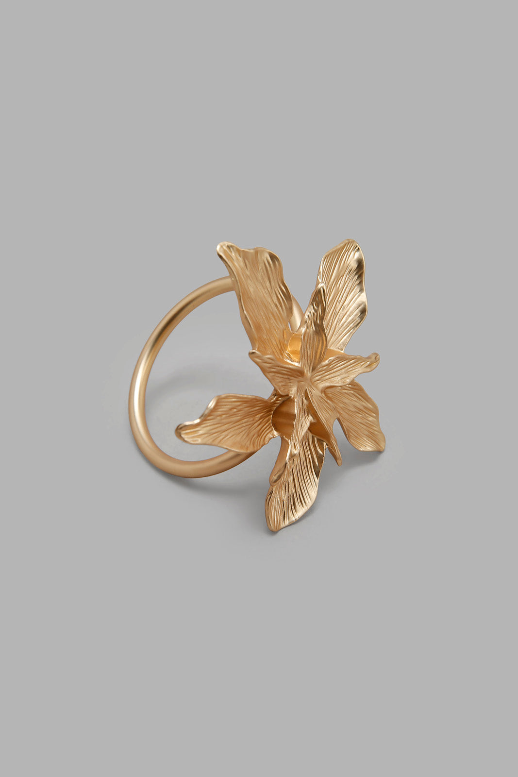 Redtag-Gold-Flower-Napkin-Ring
(4-Piece)-Category:Napkins-&-Tissues,-Colour:Gold,-Filter:Home-Dining,-HMW-DIN-Kitchen-Accessories,-Non-Sale,-S22C,-Section:Homewares-Home-Dining-