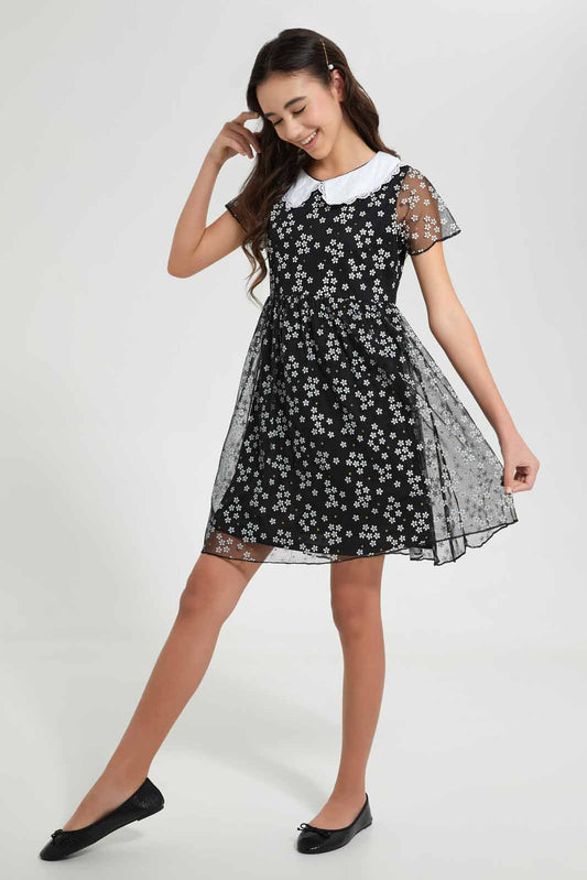 Redtag-Black/White-Floral-Peter-Pan-Collar-Mesh-Dress-Dresses-Senior-Girls-9 to 14 Years
