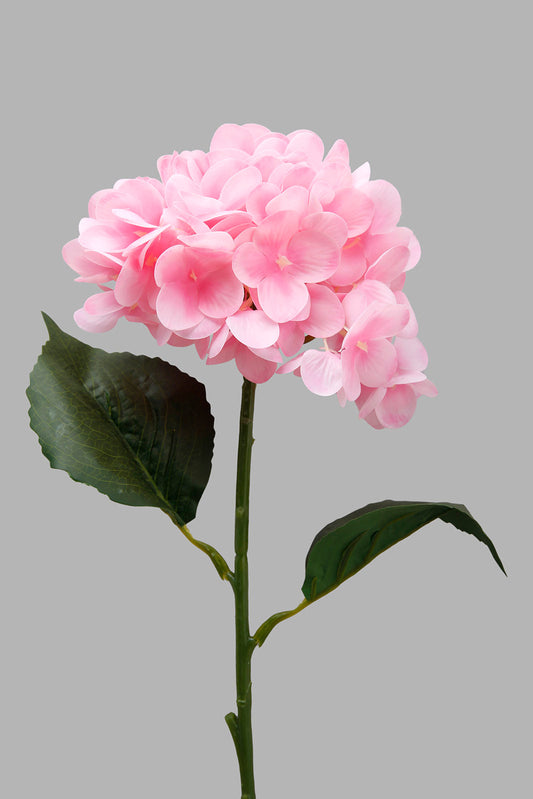 Redtag-Pink-Artificial-Circular-Hydrangea-Flower-Category:Plants-&-Flowers,-Colour:Pink,-Filter:Home-Decor,-HMW-HOM-Dea-Decorative-Accessories,-Non-Sale,-S22B,-Section:Homewares-Home-Decor-