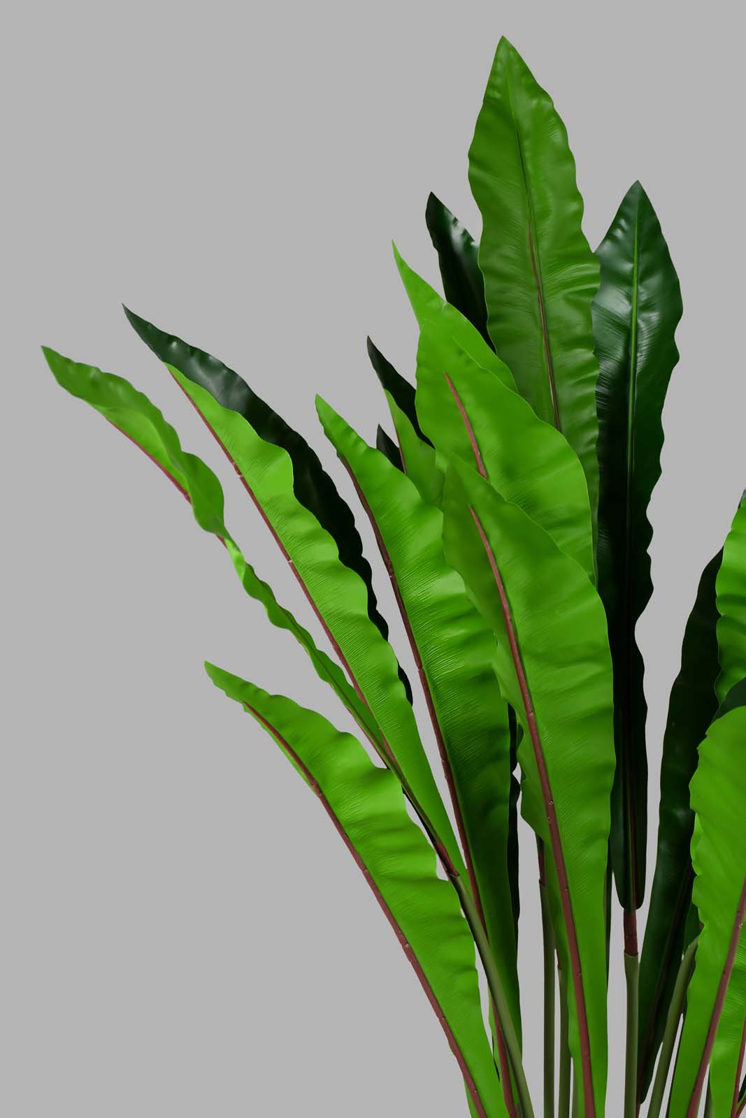 Redtag-Artificial-Bigplant-In-Black-Ribbed-Pot-Artificial-Plants-Home-Decor-