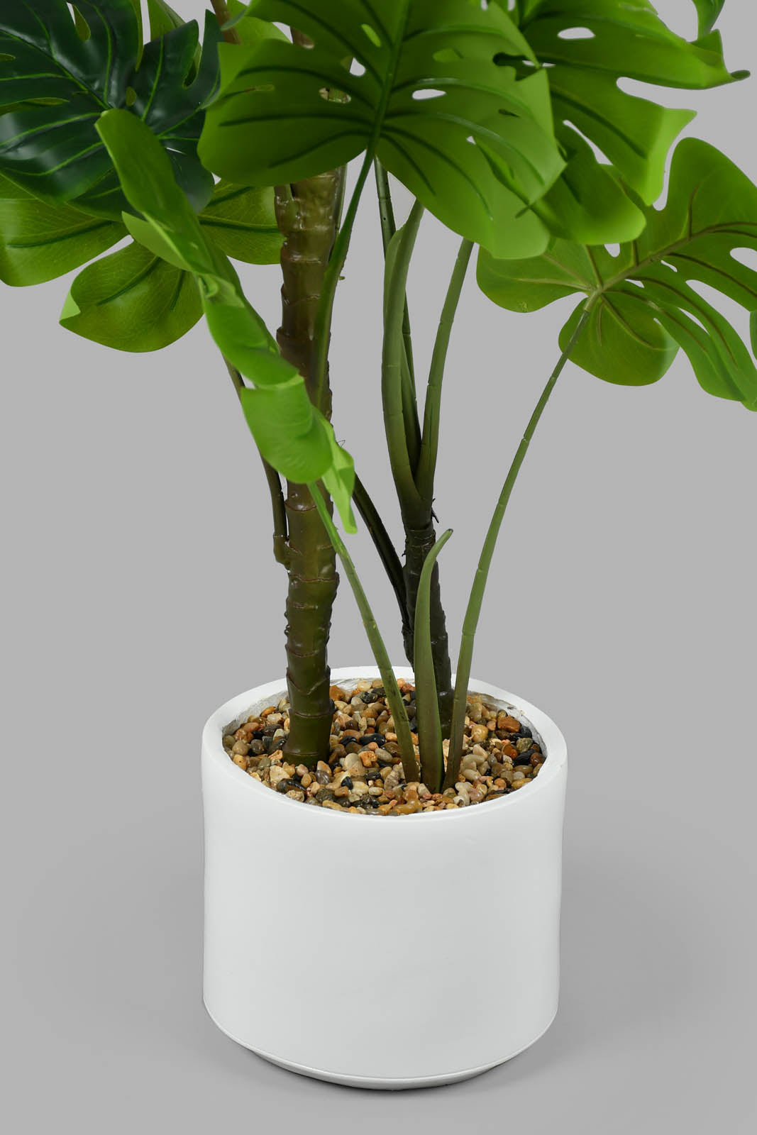 Redtag-Artificial-Bigplant-In-White-Pot-With-Stand-Artificial-Plants-Home-Decor-