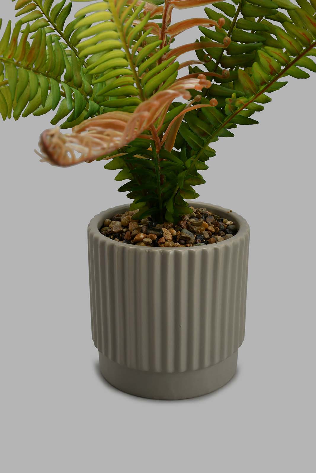 Redtag-Grey-Artificial-Plant-In-Ceramic-Pot-Artificial-Plants-Home-Decor-
