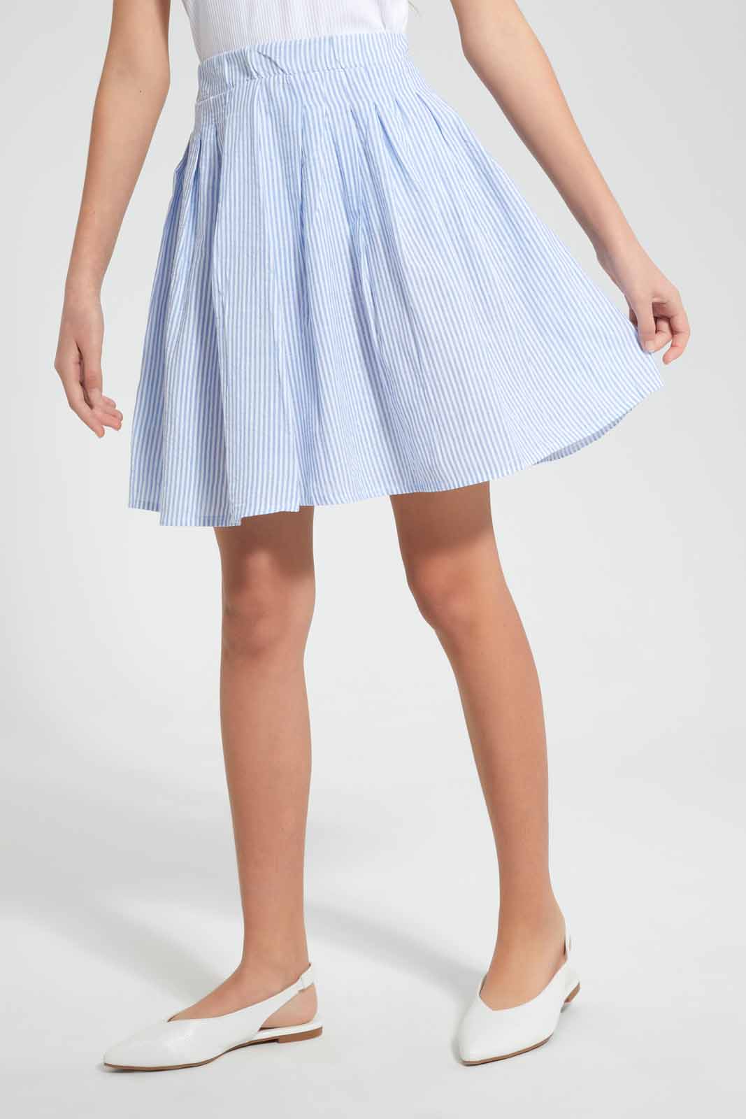 Blue And White Pleated Skirt