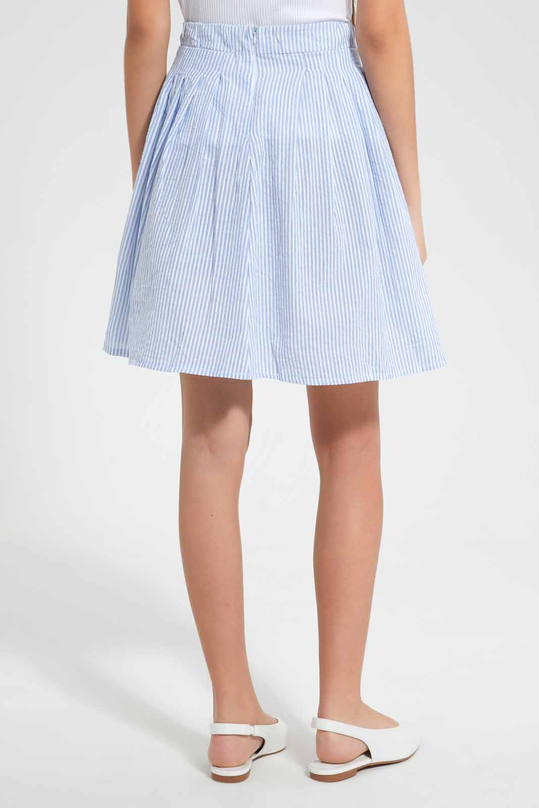Blue And White Pleated Skirt