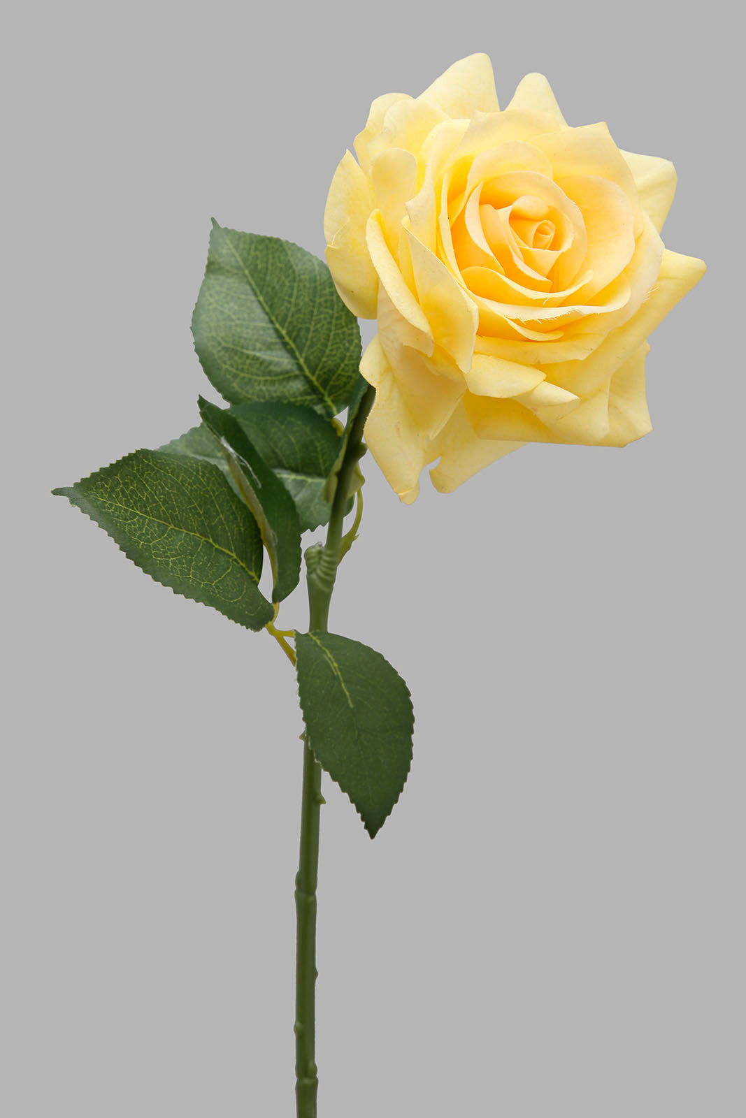 Redtag-Yellow-Artificial-Single-Rose-Stick-Category:Plants-&-Flowers,-Colour:Yellow,-Filter:Home-Decor,-HMW-HOM-Dea-Decorative-Accessories,-Non-Sale,-S22B,-Section:Homewares-Home-Decor-