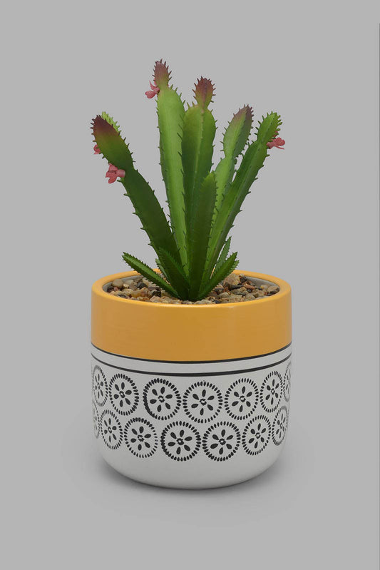 Redtag-Artificial-Cactus-In-Ceramic-Pot-Category:Plants-&-Flowers,-Colour:Multicolour,-Filter:Home-Decor,-HMW-HOM-Decorative-Accessories,-New-In,-New-In-HMW-HOM,-Non-Sale,-Section:Homewares,-W22O-Home-Decor-
