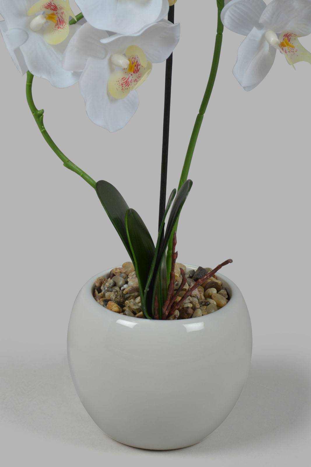 Redtag-White-Artificial-Orchid-In-Ceramic-White-Vase-Category:Plants-&-Flowers,-Colour:White,-Deals:New-In,-Filter:Home-Decor,-HMW-HOM-Decorative-Accessories,-New-In-HMW-HOM,-Non-Sale,-Section:Homewares,-W22O-Home-Decor-