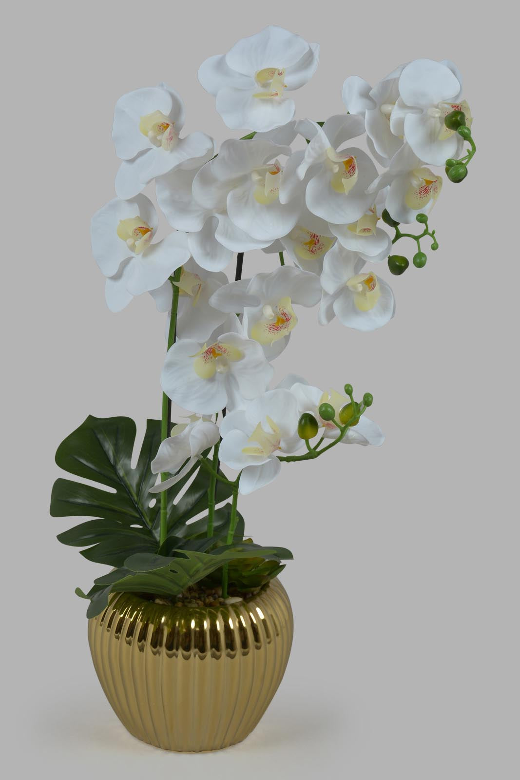 Redtag-Gold-Artificial-Orchid-In-Ceramic-Gold-Vase-Category:Plants-&-Flowers,-Colour:Gold,-Deals:New-In,-Filter:Home-Decor,-HMW-HOM-Decorative-Accessories,-New-In-HMW-HOM,-Non-Sale,-Section:Homewares,-W22O-Home-Decor-