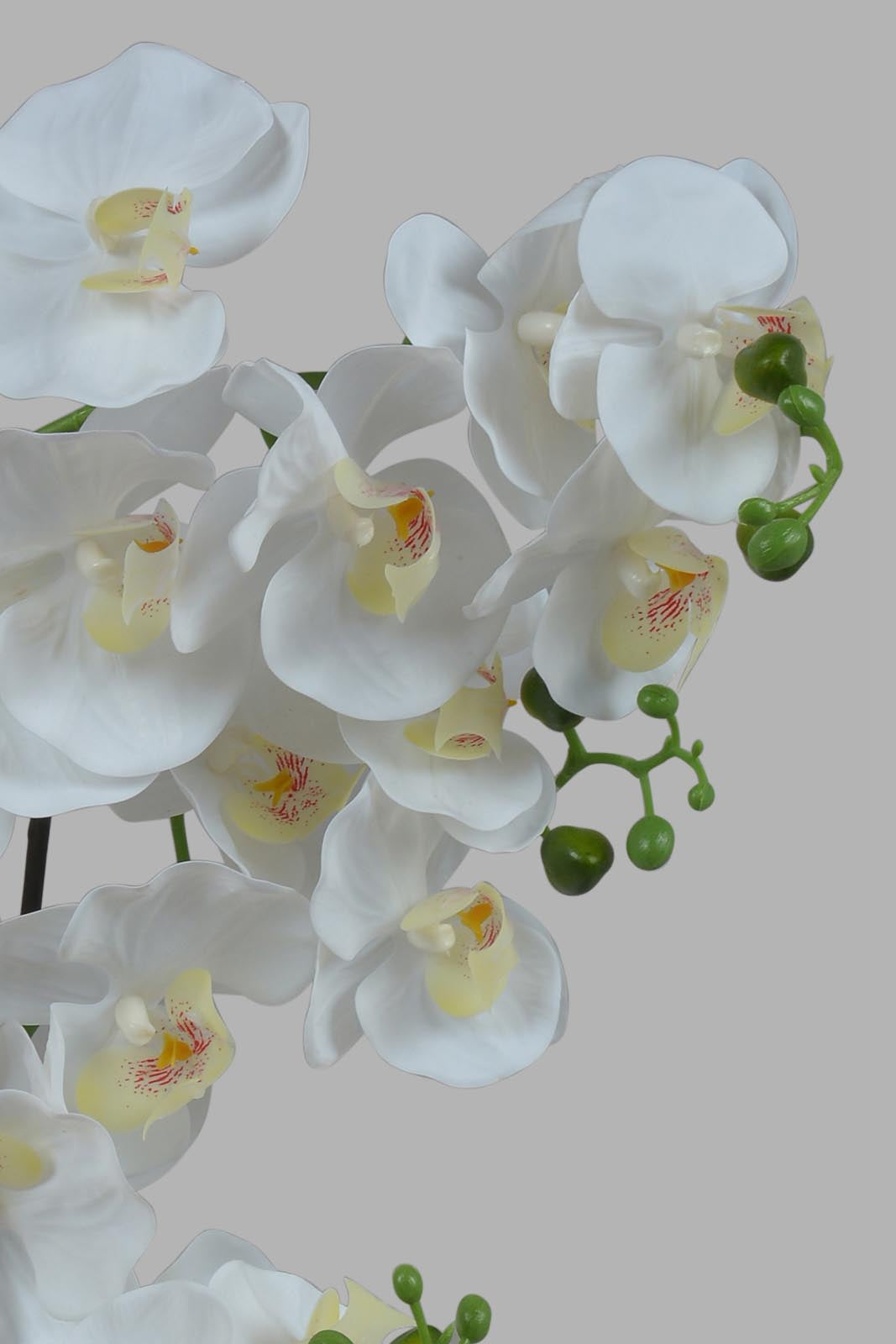 Redtag-Gold-Artificial-Orchid-In-Ceramic-Gold-Vase-Category:Plants-&-Flowers,-Colour:Gold,-Deals:New-In,-Filter:Home-Decor,-HMW-HOM-Decorative-Accessories,-New-In-HMW-HOM,-Non-Sale,-Section:Homewares,-W22O-Home-Decor-