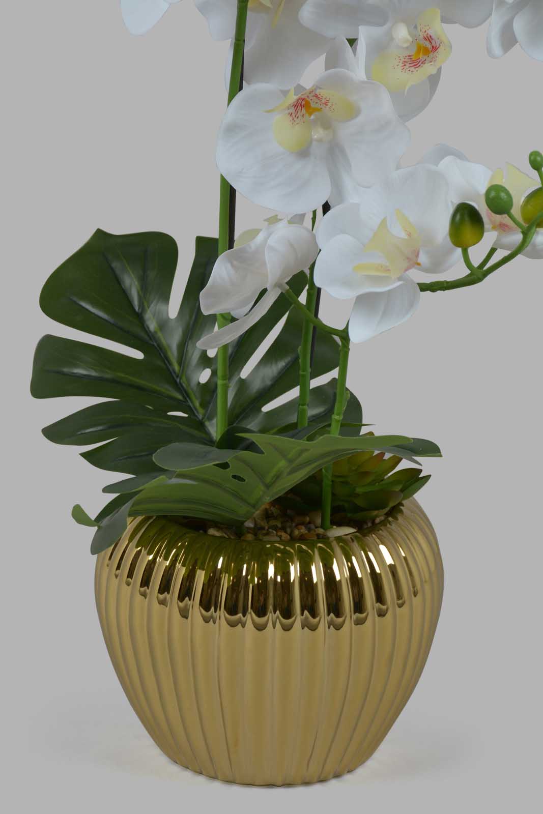 Redtag-Gold-Artificial-Orchid-In-Ceramic-Gold-Vase-Category:Plants-&-Flowers,-Colour:Gold,-Deals:New-In,-Filter:Home-Decor,-HMW-HOM-Decorative-Accessories,-New-In-HMW-HOM,-Non-Sale,-Section:Homewares,-W22O-Home-Decor-