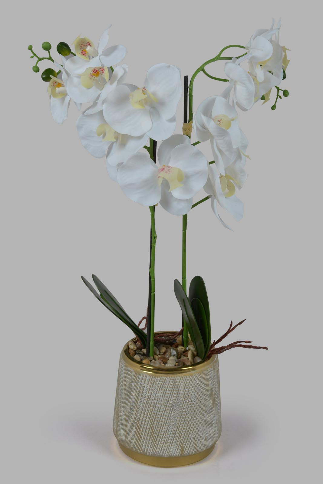 Redtag-Grey-Artificial-Orchid-In-Ceramic-Grey-Vase-Category:Plants-&-Flowers,-Colour:Grey,-Deals:New-In,-Filter:Home-Decor,-HMW-HOM-Decorative-Accessories,-New-In-HMW-HOM,-Non-Sale,-Section:Homewares,-W22O-Home-Decor-