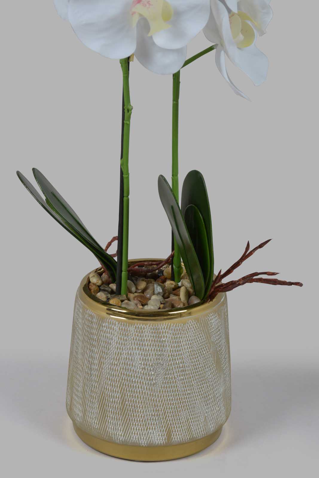 Redtag-Grey-Artificial-Orchid-In-Ceramic-Grey-Vase-Category:Plants-&-Flowers,-Colour:Grey,-Deals:New-In,-Filter:Home-Decor,-HMW-HOM-Decorative-Accessories,-New-In-HMW-HOM,-Non-Sale,-Section:Homewares,-W22O-Home-Decor-
