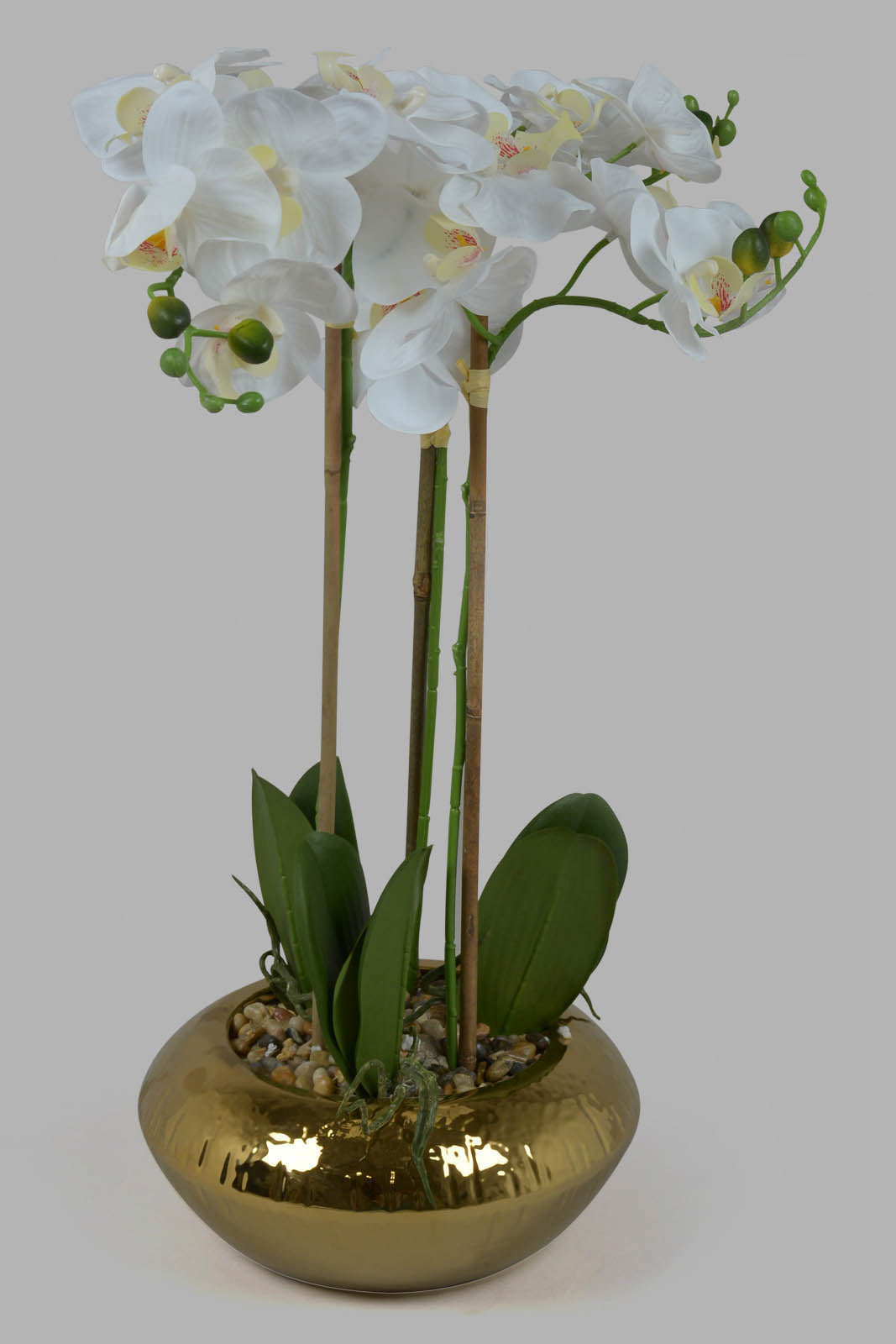 Redtag-Gold-Artificial-Orchid-In-Ceramic-Gold-Vase-Category:Plants-&-Flowers,-Colour:Gold,-Deals:New-In,-Filter:Home-Decor,-HMW-HOM-Decorative-Accessories,-New-In-HMW-HOM,-Non-Sale,-Section:Homewares,-W22O-Home-Decor-