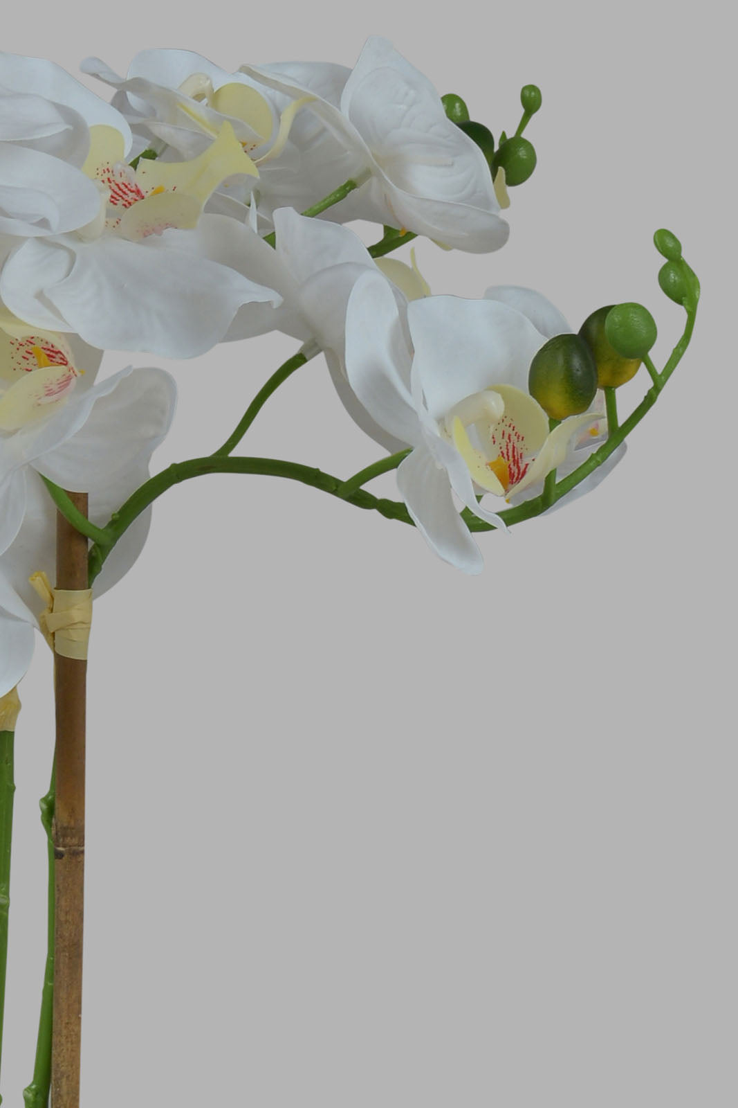 Redtag-Gold-Artificial-Orchid-In-Ceramic-Gold-Vase-Category:Plants-&-Flowers,-Colour:Gold,-Deals:New-In,-Filter:Home-Decor,-HMW-HOM-Decorative-Accessories,-New-In-HMW-HOM,-Non-Sale,-Section:Homewares,-W22O-Home-Decor-