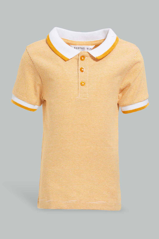 Redtag-Yellow-Yd-Pin-Striped-Polo-Short-Slv-With-Color-Tipping-Polo-Shirts-Infant-Boys-3 to 24 Months