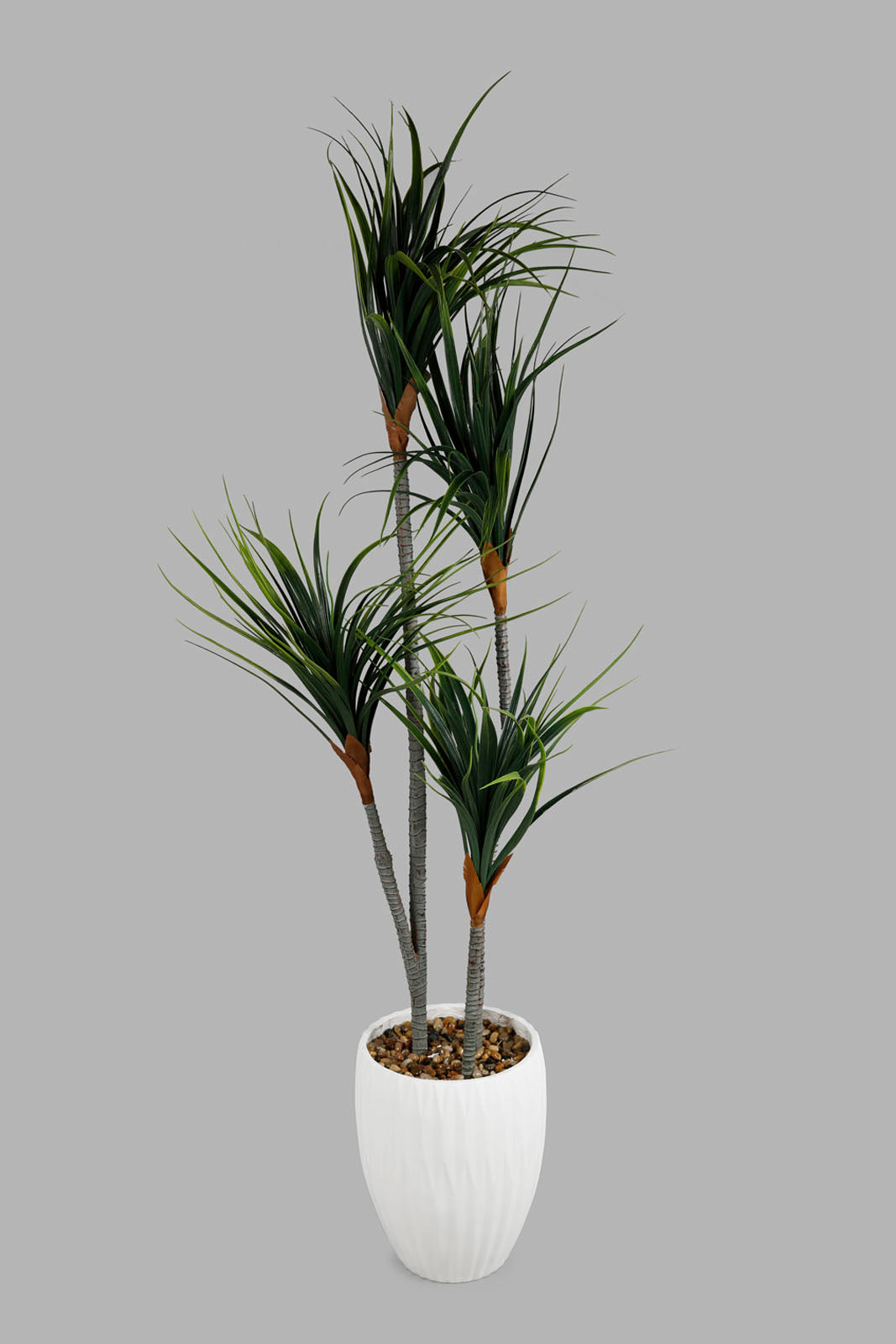 Redtag-Green-Artificial-Palm-Plant-In-Oval-Tall-Pot-140Cm-Category:Plants-&-Flowers,-Colour:Green,-Deals:New-In,-Elsa,-Filter:Home-Decor,-HMW-HOM-Decorative-Accessories,-New-In-HMW-HOM,-Non-Sale,-Section:Homewares,-W22O-Home-Decor-