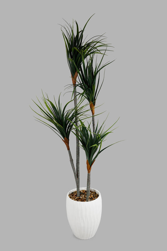 Redtag-Green-Artificial-Palm-Plant-In-Oval-Tall-Pot-140Cm-Category:Plants-&-Flowers,-Colour:Green,-Deals:New-In,-Elsa,-Filter:Home-Decor,-HMW-HOM-Decorative-Accessories,-New-In-HMW-HOM,-Non-Sale,-Section:Homewares,-W22O-Home-Decor-