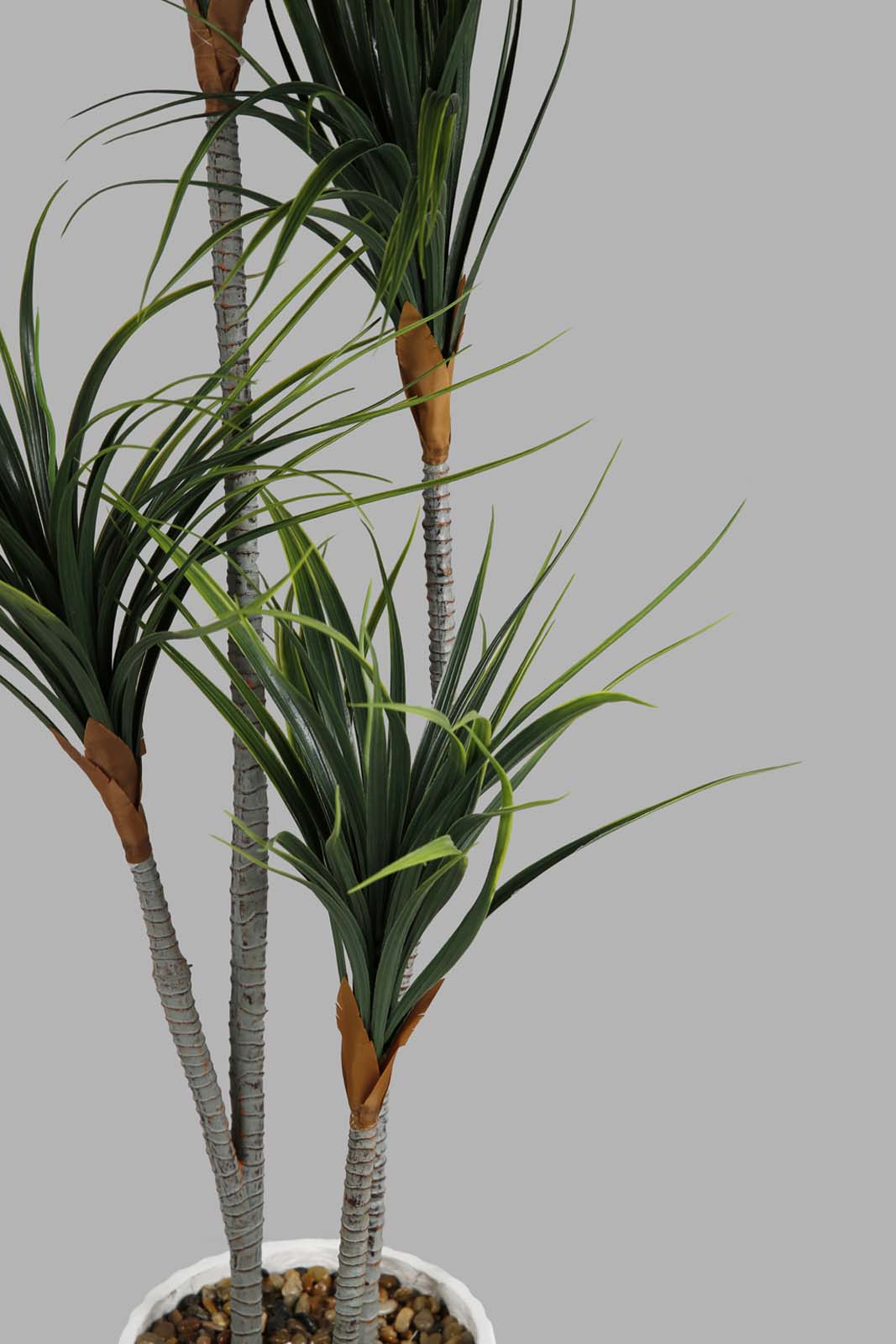 Redtag-Green-Artificial-Palm-Plant-In-Oval-Tall-Pot-140Cm-Category:Plants-&-Flowers,-Colour:Green,-Deals:New-In,-Elsa,-Filter:Home-Decor,-HMW-HOM-Decorative-Accessories,-New-In-HMW-HOM,-Non-Sale,-Section:Homewares,-W22O-Home-Decor-