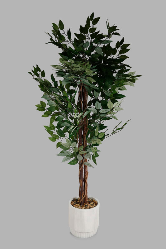 Redtag-Green-Artificial-Bigplant-In-Magnesium-White-Pot-160Cm-Category:Plants-&-Flowers,-Colour:Green,-Deals:New-In,-Filter:Home-Decor,-Harmony,-HMW-HOM-Decorative-Accessories,-New-In-HMW-HOM,-Non-Sale,-Section:Homewares,-W22O-Home-Decor-