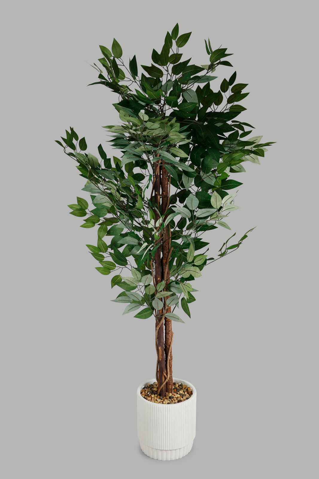 Redtag-Green-Artificial-Bigplant-In-Magnesium-White-Pot-160Cm-Category:Plants-&-Flowers,-Colour:Green,-Deals:New-In,-Filter:Home-Decor,-Harmony,-HMW-HOM-Decorative-Accessories,-New-In-HMW-HOM,-Non-Sale,-Section:Homewares,-W22O-Home-Decor-
