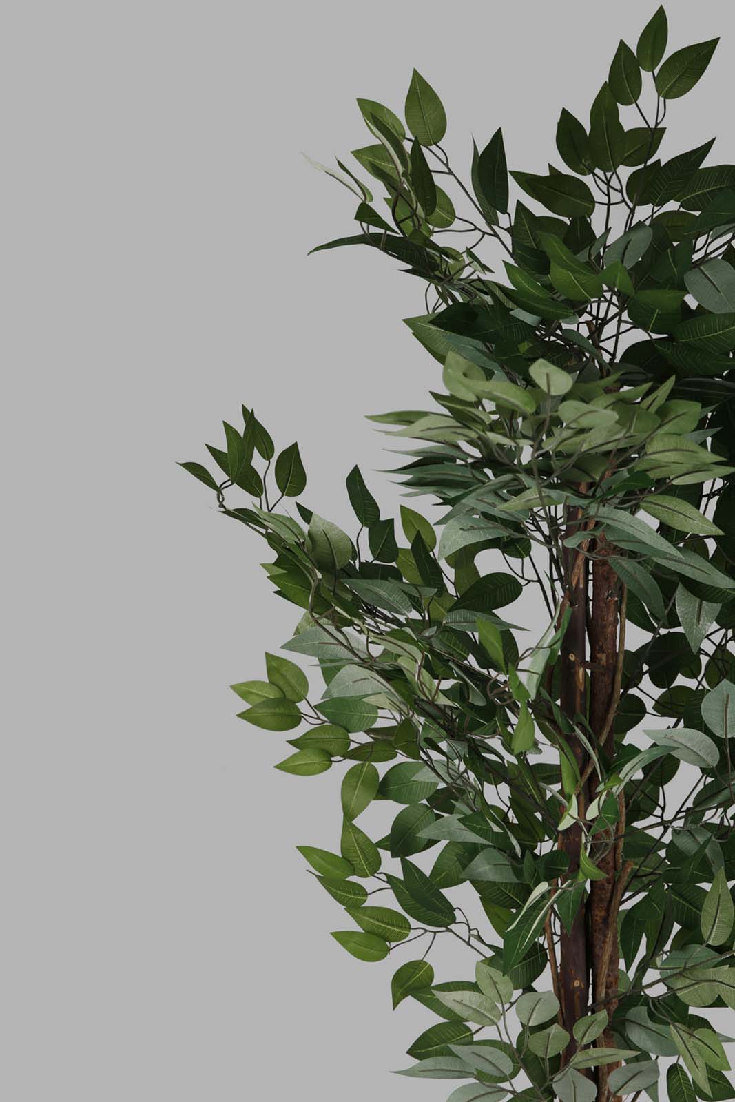 Redtag-Green-Artificial-Bigplant-In-Magnesium-White-Pot-160Cm-Category:Plants-&-Flowers,-Colour:Green,-Deals:New-In,-Filter:Home-Decor,-Harmony,-HMW-HOM-Decorative-Accessories,-New-In-HMW-HOM,-Non-Sale,-Section:Homewares,-W22O-Home-Decor-