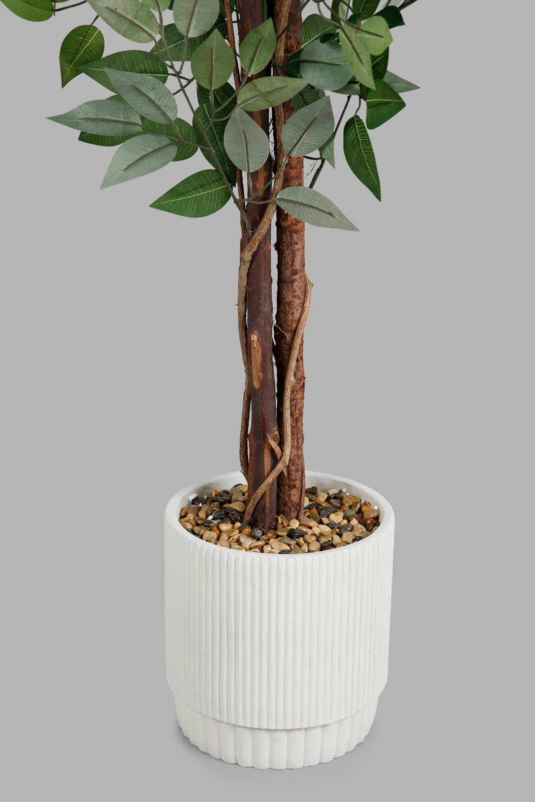 Redtag-Green-Artificial-Bigplant-In-Magnesium-White-Pot-160Cm-Category:Plants-&-Flowers,-Colour:Green,-Deals:New-In,-Filter:Home-Decor,-Harmony,-HMW-HOM-Decorative-Accessories,-New-In-HMW-HOM,-Non-Sale,-Section:Homewares,-W22O-Home-Decor-