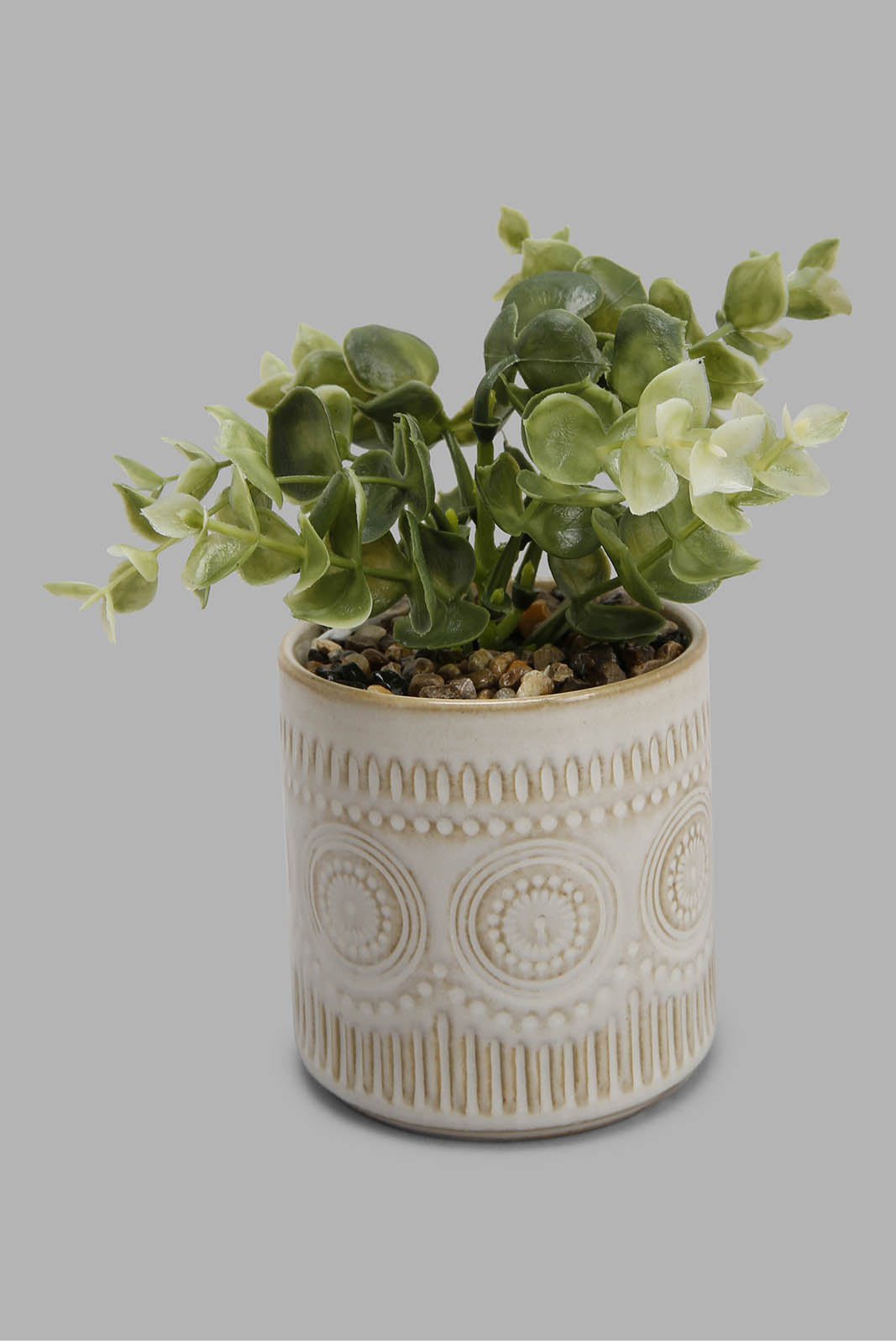 Redtag-Assorted-Artificial-Cluster-Leaf-In-Ceramic-Pot-Category:Plants-&-Flowers,-Colour:Assorted,-Deals:New-In,-Filter:Home-Decor,-HMW-HOM-Decorative-Accessories,-New-In-HMW-HOM,-Non-Sale,-Section:Homewares,-W22B-Home-Decor-