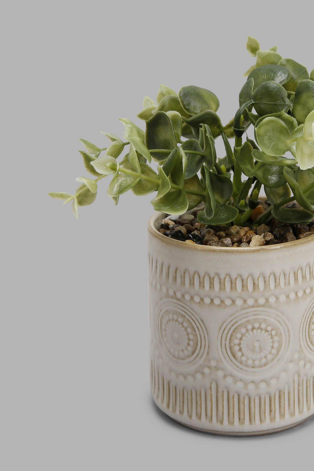 Redtag-Assorted-Artificial-Cluster-Leaf-In-Ceramic-Pot-Category:Plants-&-Flowers,-Colour:Assorted,-Deals:New-In,-Filter:Home-Decor,-HMW-HOM-Decorative-Accessories,-New-In-HMW-HOM,-Non-Sale,-Section:Homewares,-W22B-Home-Decor-